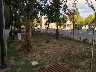 Прикрепленное изображение: IMG_1208.JPG